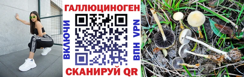 Псилоцибиновые грибы мухоморы  как найти закладки  Андреаполь 